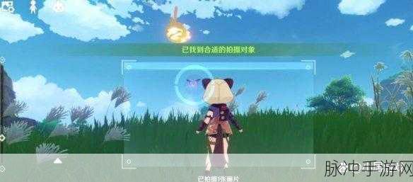 原神容彩诗镜其二,动物摄影大赛全攻略,捕捉自然灵动瞬间!