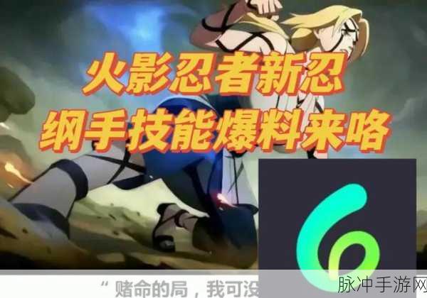 火影忍者手游深度攻略，手里剑护身技能详解与实战应用
