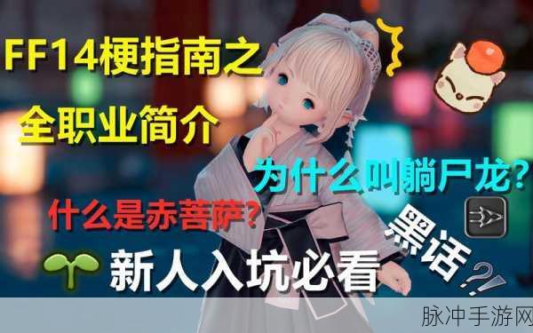 FF14武士专属黑话全解析与实用术语一览表