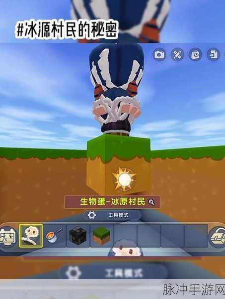 揭秘迷你世界冰原商人,地形码背后的探险之旅全攻略