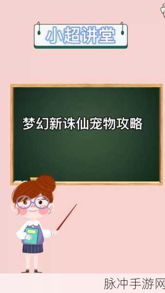 梦幻新诛仙，解锁最强宠物选择攻略