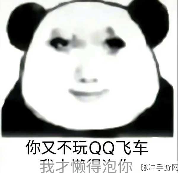 QQ飞车表情斗图包，赛车手们的全新社交战场！