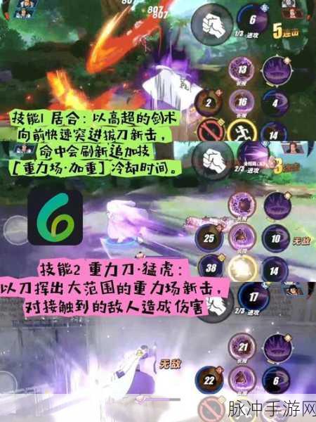 航海王热血航线藤虎技能全解析，掌握重力场，制霸海域