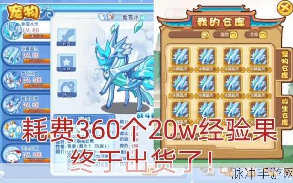 洛克王国宠物获取全攻略,怨念魔鱼、乐动精灵与雪影娃娃的获得方法