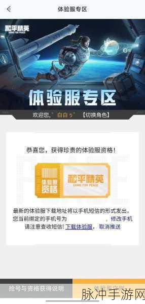 和平精英体验服资格申请全攻略，解锁游戏新体验