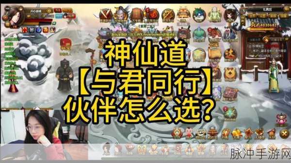 神仙道顶级伙伴揭秘,顶级输出伙伴强力推荐全攻略