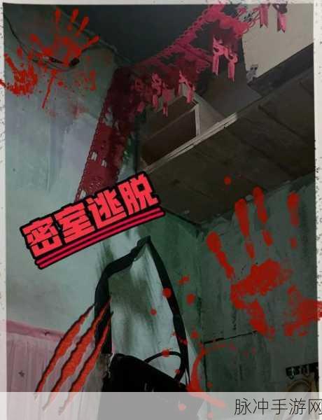 恐怖女邻居，沉浸式冒险逃生的极致体验