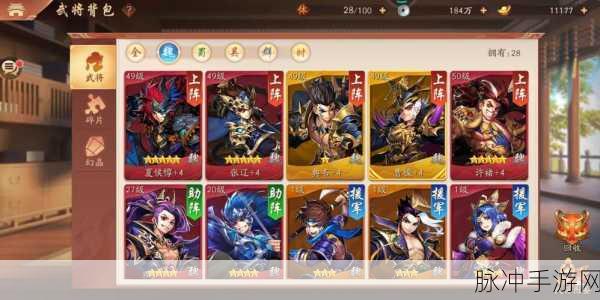 少年三国志2深度游戏攻略，揭秘金将阵容与培养策略