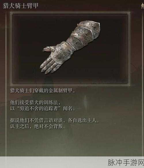 艾尔登法环,通用职业武器系统的深度探索与攻略