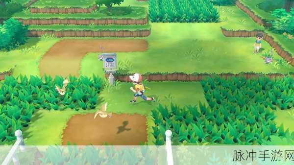 精灵宝可梦LetsGo,全面解析闪光海星星捕捉方法