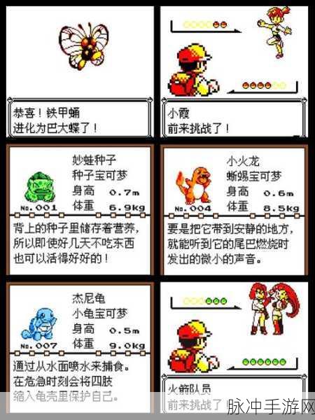 精灵宝可梦LetsGo,全面解析闪光海星星捕捉方法