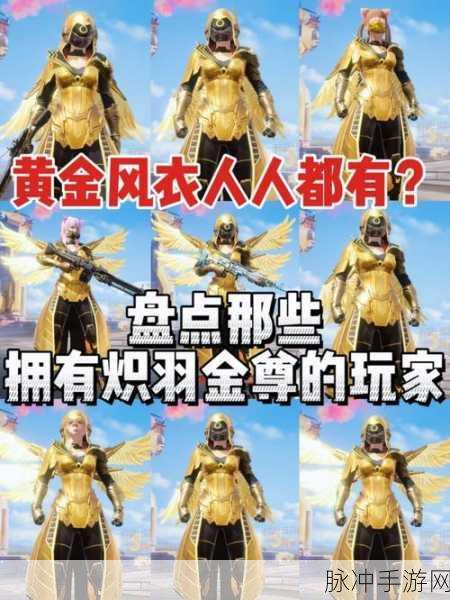 和平精英炽羽金尊拥有者揭秘，全网仅有几位的荣耀象征