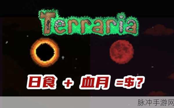 泰拉瑞亚血月召唤全攻略，解锁神秘之夜