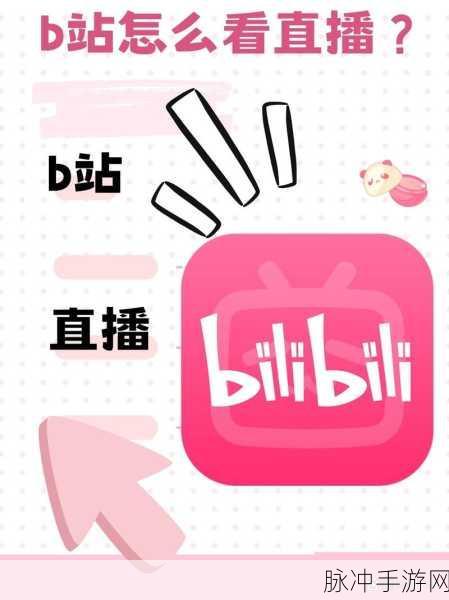 探索海外B站,刺激战场直播平台的无限营销与互动潜力