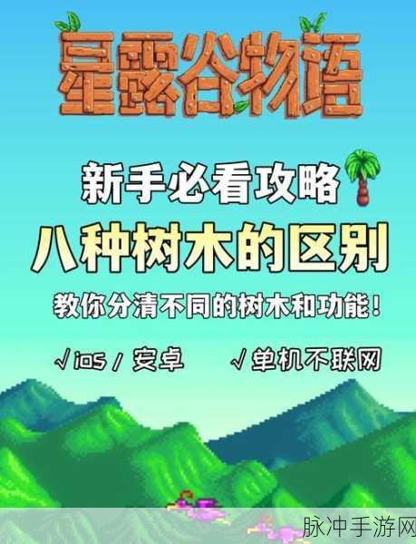 星露谷物语深度攻略，揭秘橡树树脂的高效获取秘籍