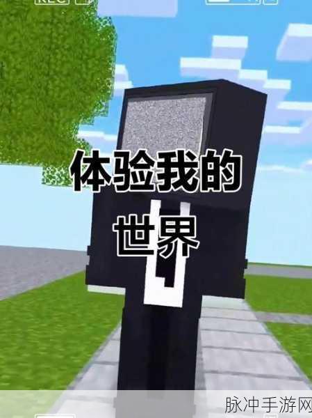 探秘游戏世界的奇妙之旅，深入解析我的世界起源尺灵