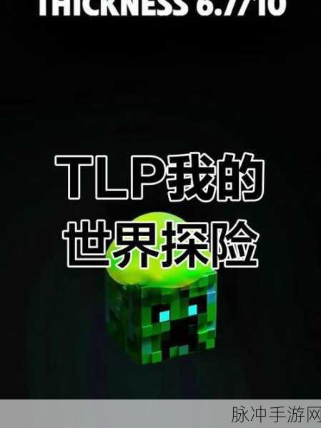 探秘游戏世界的奇妙之旅，深入解析我的世界起源尺灵