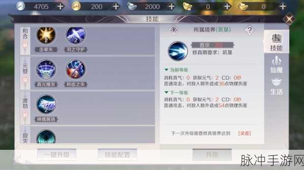 完美世界手游羽芒职业转职策略,深度解析羽芒转职最佳选择