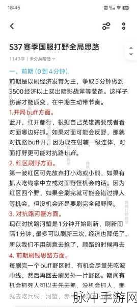 王者荣耀,高素质玩家背后的情绪挑战与攻略解析