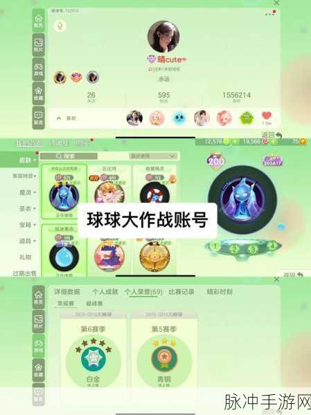 球球大作战登陆验证失败全面解析，手游公司官方攻略
