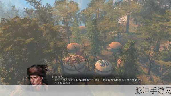 河洛群侠传速通攻略全解析，高手进阶之路
