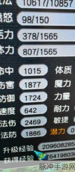 梦幻西游单开养老,门派选择与攻略指南