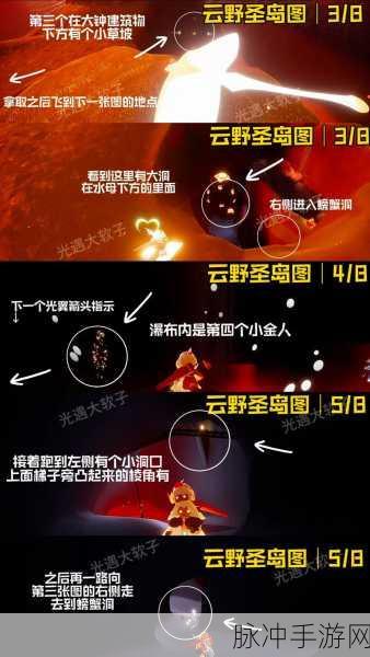 探索光遇雨林,全小金人位置详尽攻略
