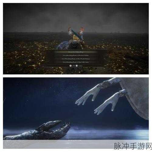 艾尔登法环全结局解锁秘籍，探索多元命运的终极指南