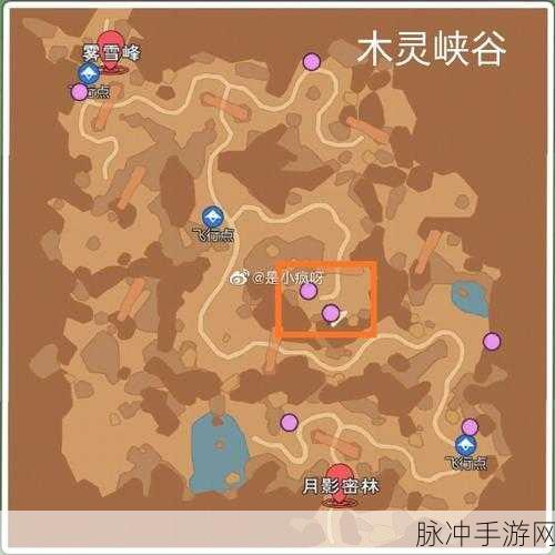 小森生活木灵峡谷资源分布图及稀有动植物甲虫位置全攻略