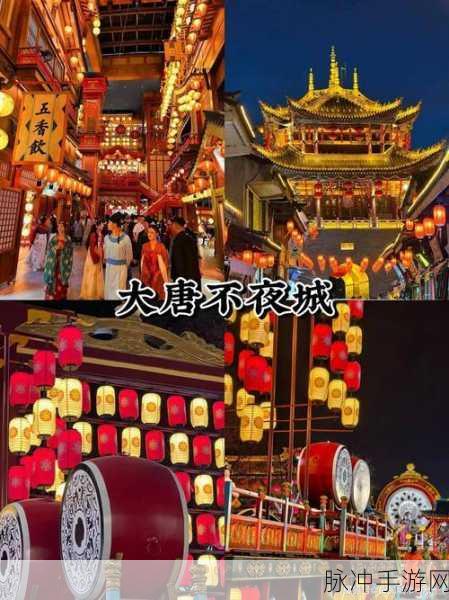 妄想山海琵琶吸血流玩法深度攻略