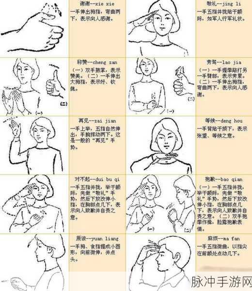 探索手语世界，传递公益之爱 ——手语游踪下载攻略与深度解析
