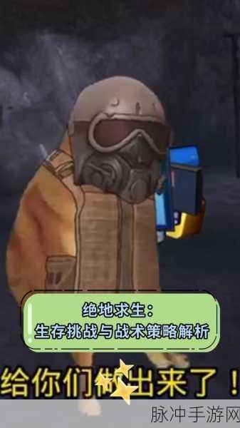 绝地求生手游深度攻略，掌握战术与策略，你能否在生存挑战中脱颖而出？