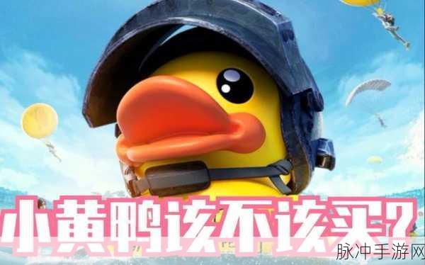 和平精英小黄鸭套装下架时间全揭秘，最新资讯助你把握告别小黄鸭装扮的时机