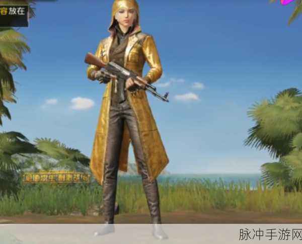 和平精英至尊金龙外套获取全攻略，解锁游戏内的尊贵象征