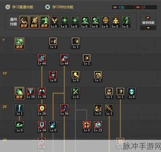 DNF手游纯辅助圣骑士加点攻略,20级起步,精准赋能队友