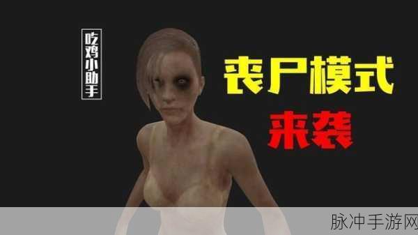绝地求生僵尸模式,制胜策略与深度解析