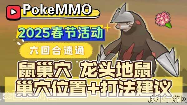 口袋妖怪手游攻略，揭秘白小白鼠的进化之谜