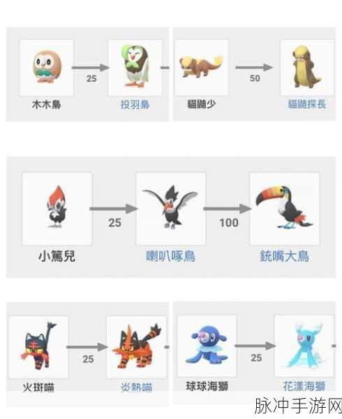 口袋妖怪手游攻略,揭秘白小白鼠的进化之谜