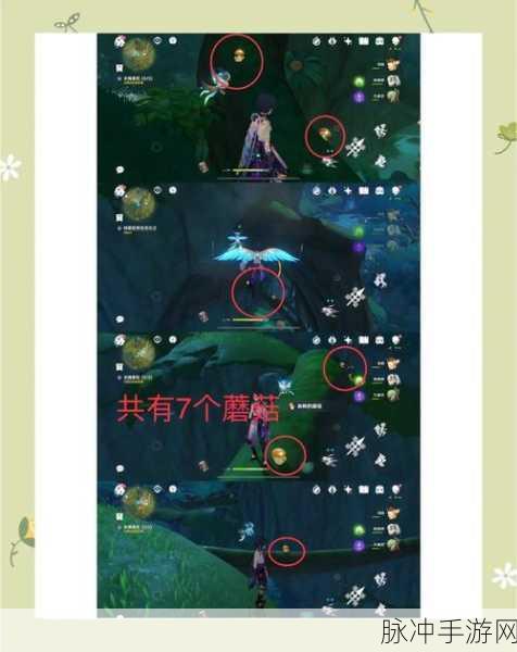 原神,秘境宝藏探秘攻略——特殊宝藏地点与追踪流程全解析