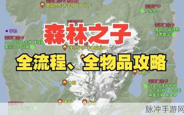 森林之子手游深度攻略，揭秘门禁卡背后的秘密宝藏