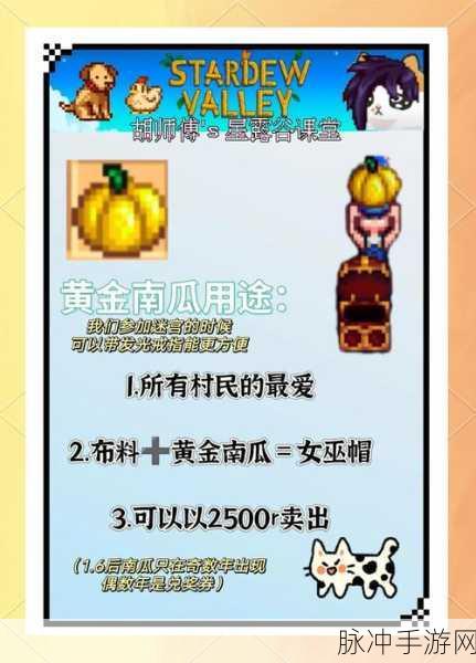 星露谷物语后期玩法拓展,打破无聊,探索无限可能
