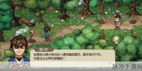 大侠立志传迷踪林藏宝图寻觅之旅,大侠之路的宝藏秘密