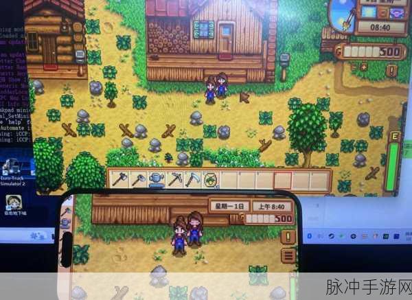 Switch星露谷物语本地联机全攻略，双方是否都需要拥有游戏？