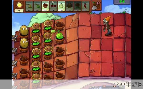 植物大战僵尸屋顶秘籍深度解析，玩转屋顶关卡策略指南