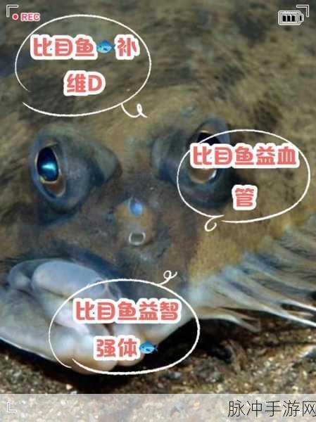 探索手游世界中的比目鱼，揭秘其神奇功效与价值