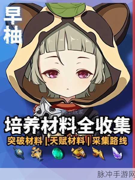 原神早柚值得培养吗?全面强度解析