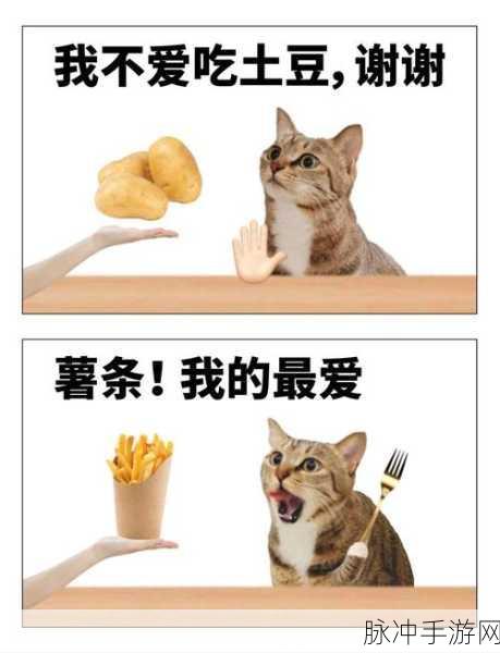 行走喵星人赖少团，探索玩法新颖的红包类休闲放置手游新境界