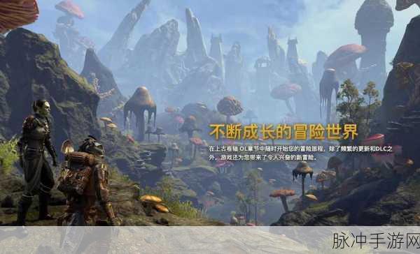 上古卷轴OL中文设置教程,轻松享受沉浸式游戏体验