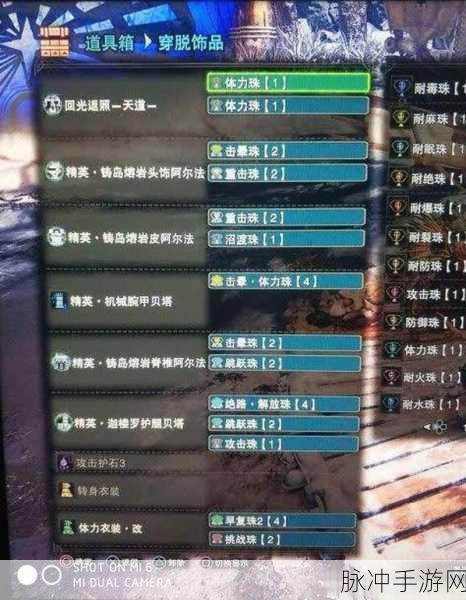 怪物猎人世界冰原前期装备推荐指南