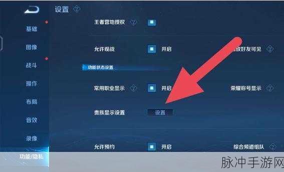 王者荣耀深度攻略，如何巧妙隐藏自己的贵族等级